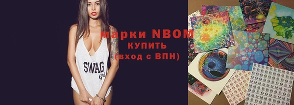 гашик Дмитров