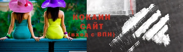 a pvp Дмитровск