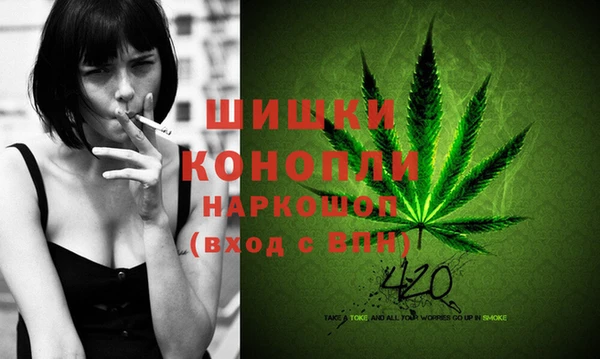гашик Дмитров