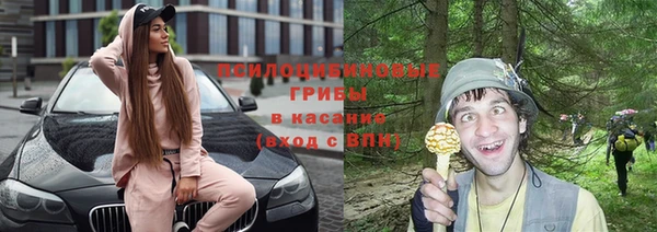 a pvp Ельня