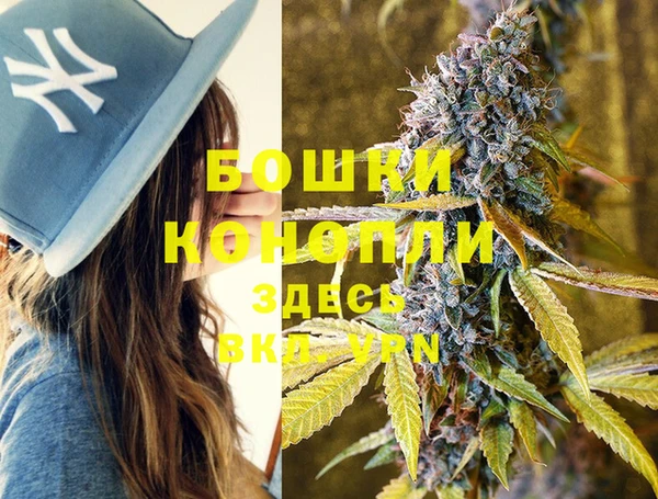 мдпв Дмитриев