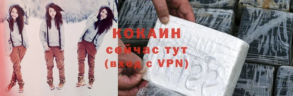 a pvp Ельня
