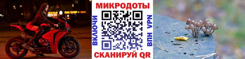 Купить  Мичуринск  Галлюциногенные грибы мицелий 